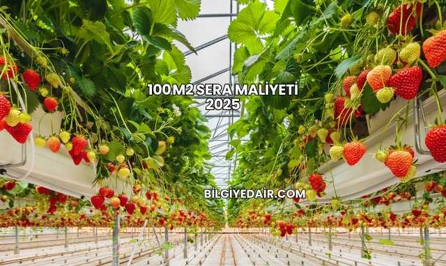 100 m2 Sera Maliyeti 2025
